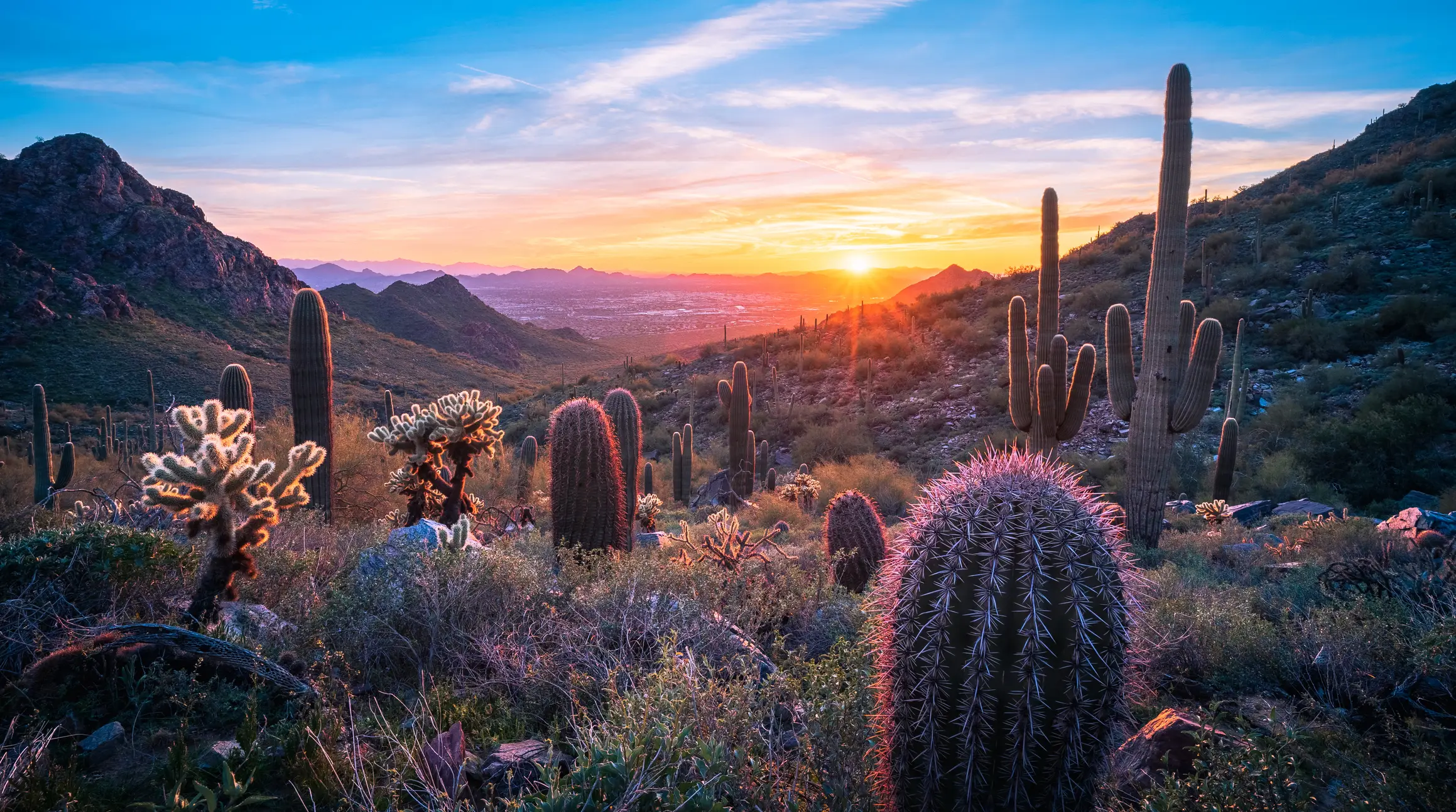 arizona