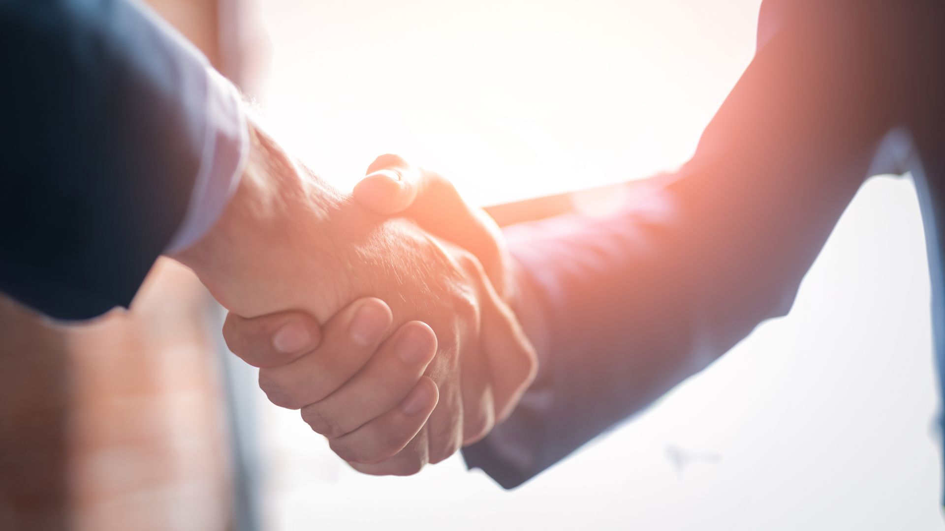 Un apretón de manos entre dos personas.